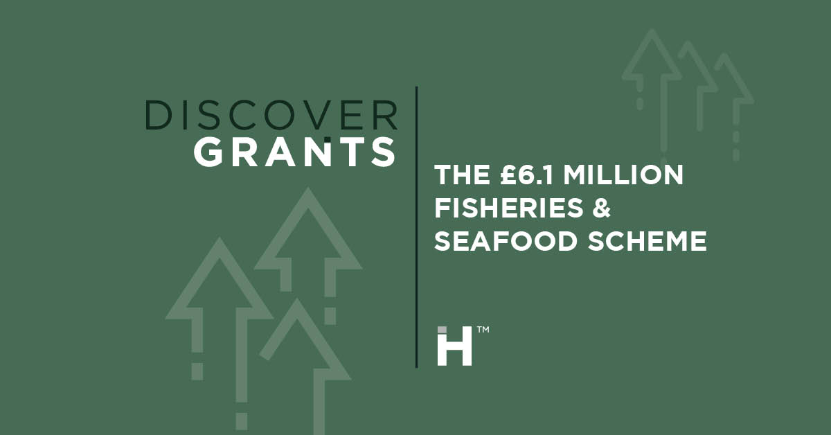 Marine Management Organisation Launches Fisheries and Seafood Scheme
